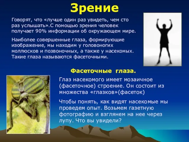 Зрение Говорят, что «лучше один раз увидеть, чем сто раз услышать».С помощью