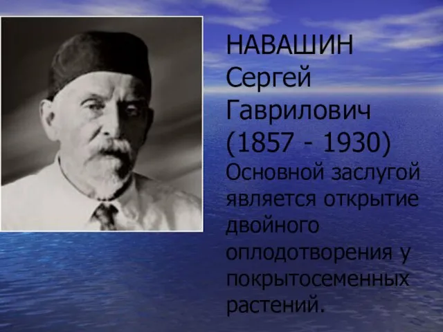 НАВАШИН Сергей Гаврилович (1857 - 1930) Основной заслугой является открытие двойного оплодотворения у покрытосеменных растений.