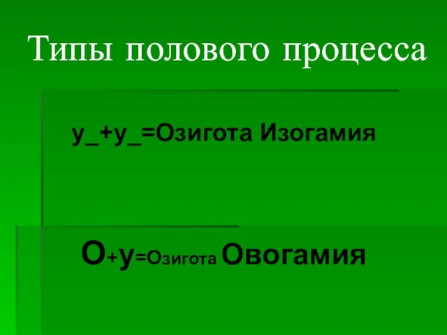 Типы полового процесса у_+у_=Озигота Изогамия О+у=Озигота Овогамия