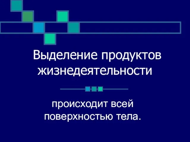 Выделение продуктов жизнедеятельности происходит всей поверхностью тела.