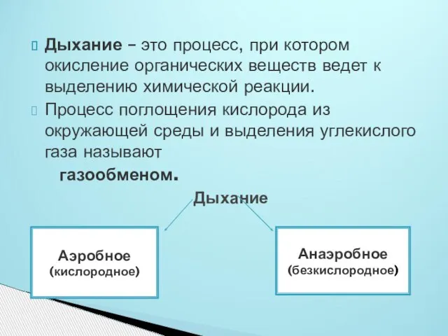 Дыхание – это процесс, при котором окисление органических веществ ведет к выделению