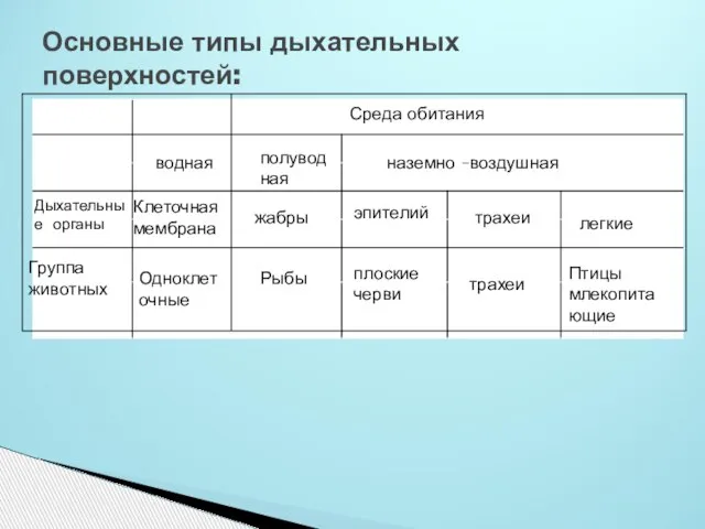 Основные типы дыхательных поверхностей: Среда обитания водная наземно –воздушная полуводная Дыхательные органы