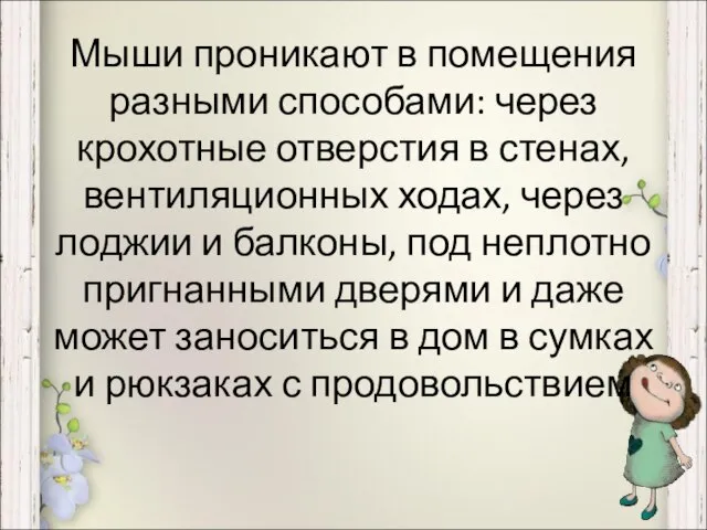 Мыши проникают в помещения разными способами: через крохотные отверстия в стенах, вентиляционных