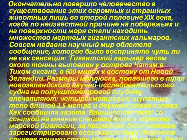 Окончательно поверило человечество в существование этих огромных и страшных животных лишь во