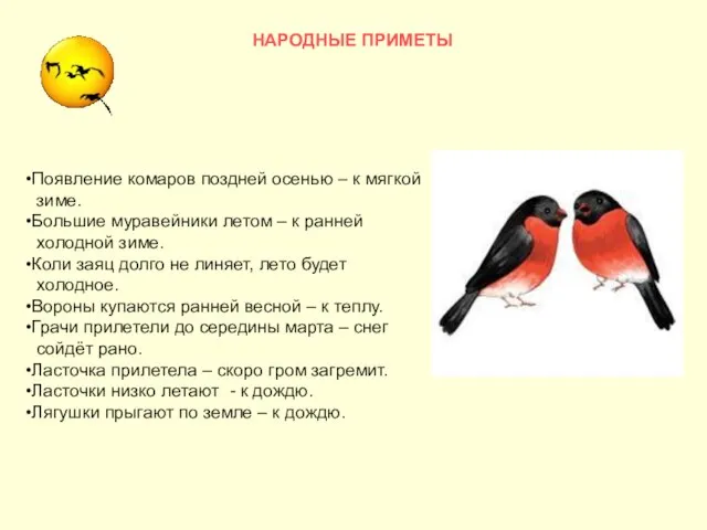 НАРОДНЫЕ ПРИМЕТЫ Появление комаров поздней осенью – к мягкой зиме. Большие муравейники