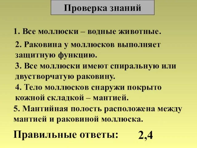 Проверка знаний 1. Все моллюски – водные животные. 2. Раковина у моллюсков