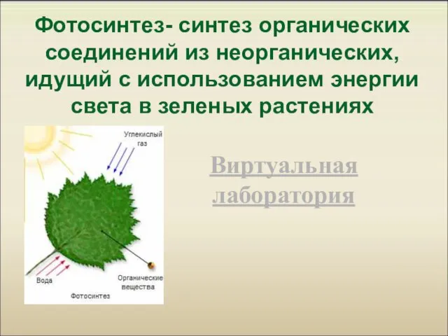 Фотосинтез- синтез органических соединений из неорганических, идущий с использованием энергии света в зеленых растениях Виртуальная лаборатория