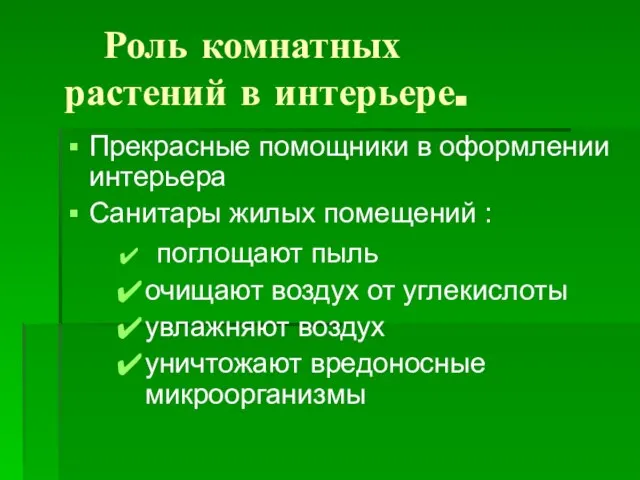 Роль комнатных растений в интерьере. Прекрасные помощники в оформлении интерьера Санитары жилых