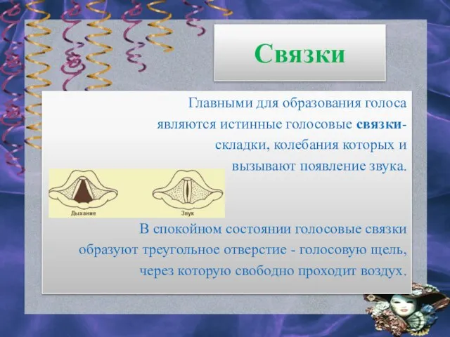 Связки Главными для образования голоса являются истинные голосовые связки- складки, колебания которых