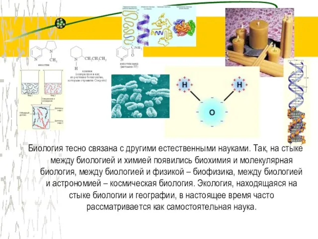 Биология тесно связана с другими естественными науками. Так, на стыке между биологией