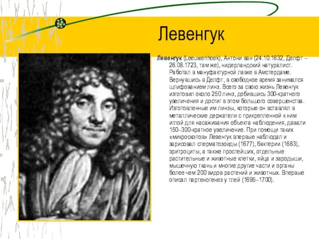 Левенгук Левенгук (Leeuwenhoek), Антони ван (24.10.1632, Делфт – 26.08.1723, там же), нидерландский