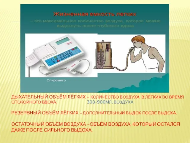 Дыхательный объём лёгких – количество воздуха в лёгких во время спокойного вдоха.