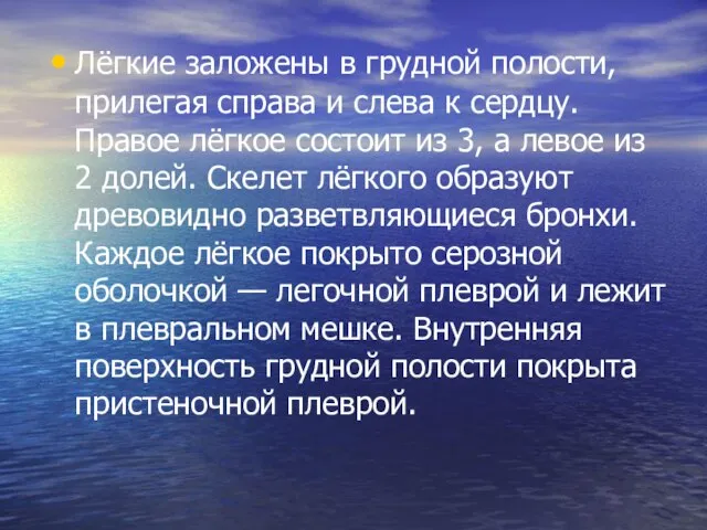 Лёгкие заложены в грудной полости, прилегая справа и слева к сердцу. Правое