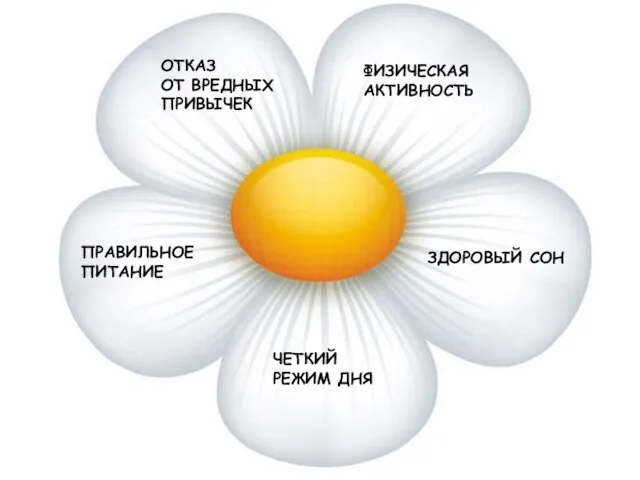 ЧЕТКИЙ РЕЖИМ ДНЯ ПРАВИЛЬНОЕ ПИТАНИЕ ОТКАЗ ОТ ВРЕДНЫХ ПРИВЫЧЕК ФИЗИЧЕСКАЯ АКТИВНОСТЬ ЗДОРОВЫЙ СОН