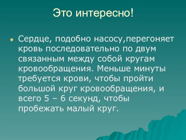 Это интересно! Сердце, подобно насосу,перегоняет кровь последовательно по двум связанным между собой