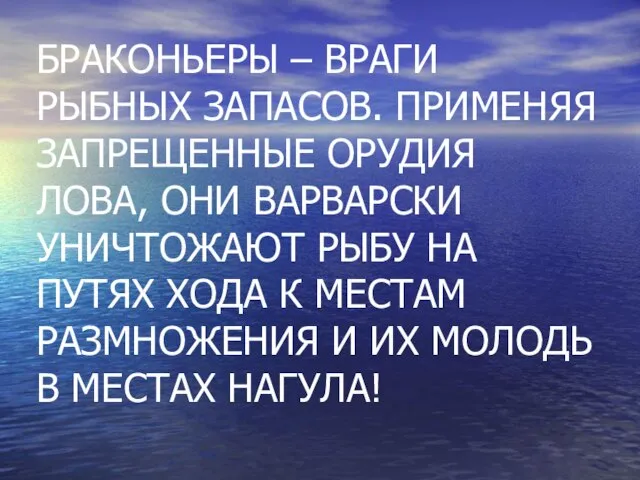 БРАКОНЬЕРЫ – ВРАГИ РЫБНЫХ ЗАПАСОВ. ПРИМЕНЯЯ ЗАПРЕЩЕННЫЕ ОРУДИЯ ЛОВА, ОНИ ВАРВАРСКИ УНИЧТОЖАЮТ