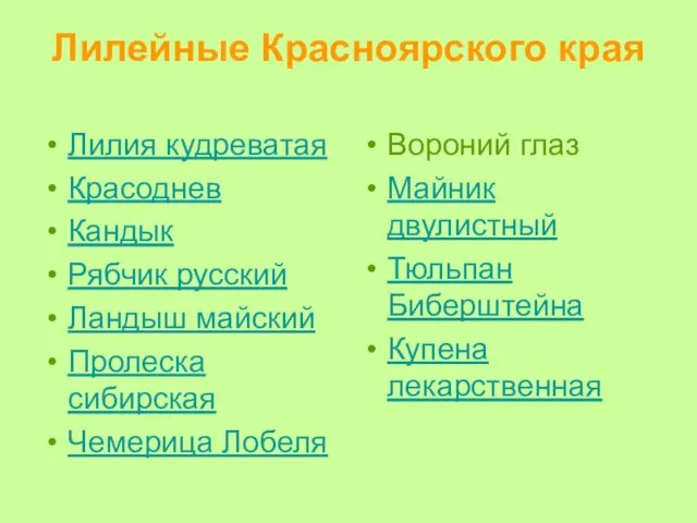 Лилейные Красноярского края Лилия кудреватая Красоднев Кандык Рябчик русский Ландыш майский Пролеска