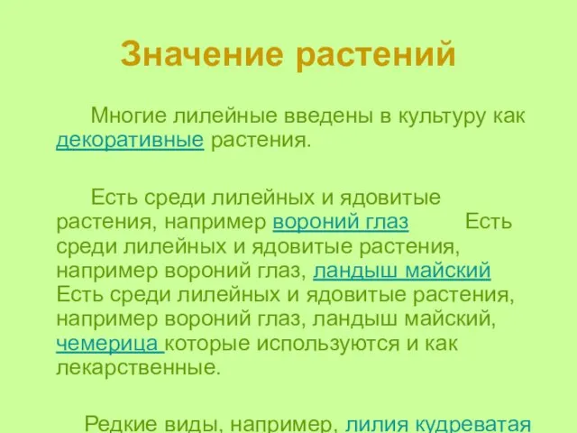 Значение растений Многие лилейные введены в культуру как декоративные растения. Есть среди