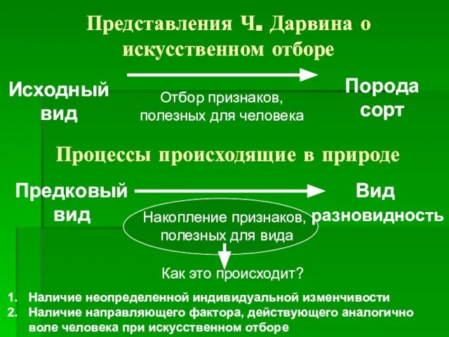 Представления Ч. Дарвина о искусственном отборе Исходный вид Порода сорт Отбор признаков,