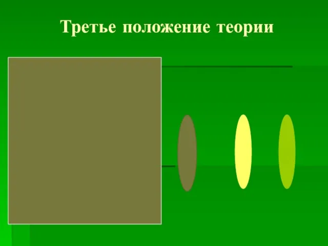 Третье положение теории