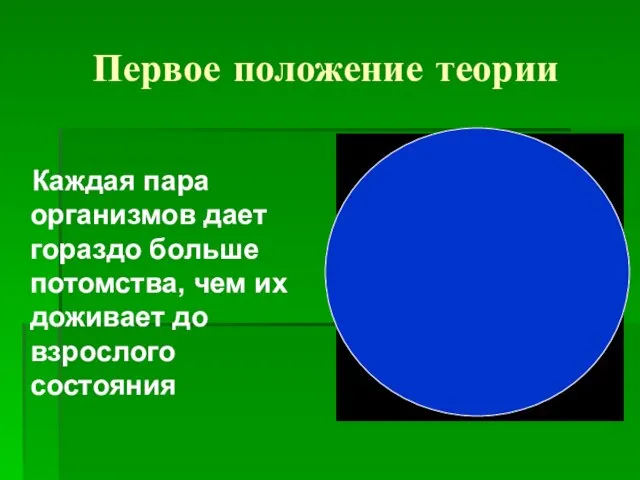 Первое положение теории Каждая пара организмов дает гораздо больше потомства, чем их доживает до взрослого состояния