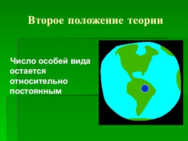 Второе положение теории Число особей вида остается относительно постоянным