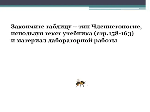 Закончите таблицу – тип Членистоногие, используя текст учебника (стр.158-163) и материал лабораторной работы