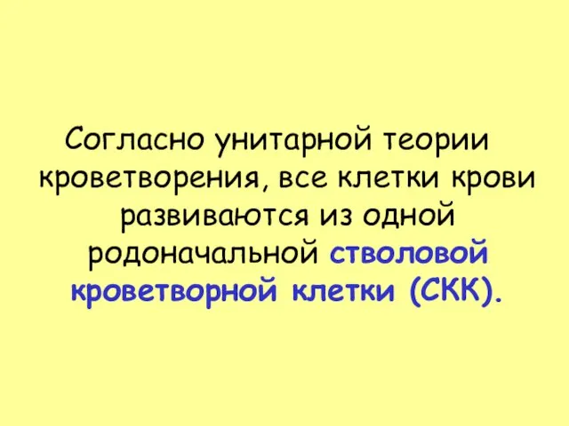 Согласно унитарной теории кроветворения, все клетки крови развиваются из одной родоначальной стволовой кроветворной клетки (СКК).