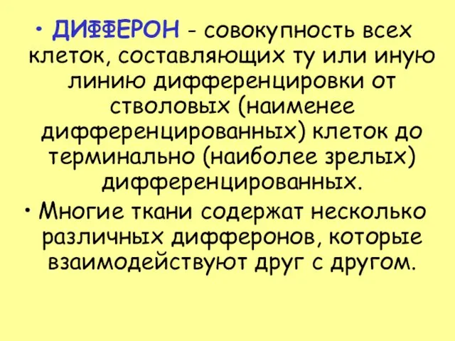 ДИФФЕРОН - совокупность всех клеток, составляющих ту или иную линию дифференцировки от