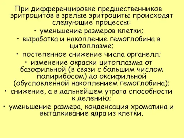 При дифференцировке предшественников эритроцитов в зрелые эритроциты происходят следующие процессы: уменьшение размеров