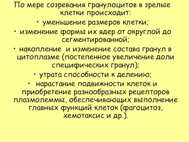 По мере созревания гранулоцитов в зрелые клетки происходит: уменьшение размеров клетки; изменение