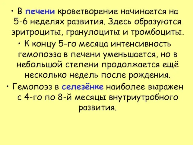 В печени кроветворение начинается на 5-6 неделях развития. Здесь образуются эритроциты, гранулоциты