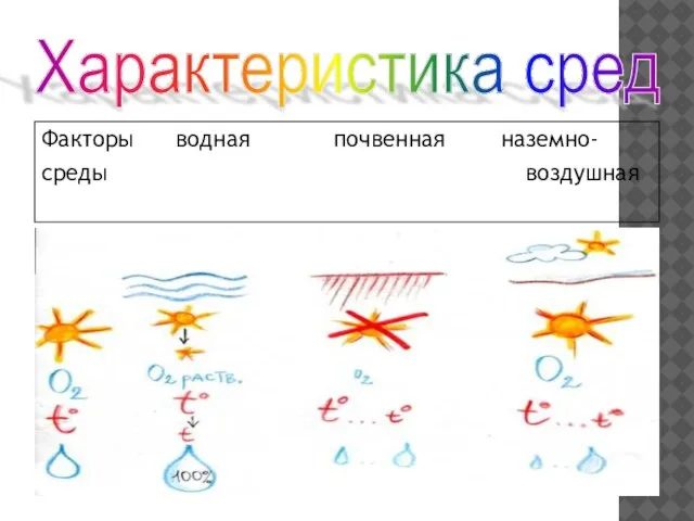 Характеристика сред Факторы водная почвенная наземно- среды воздушная