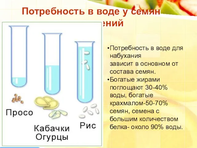 Потребность в воде у семян различных растений Потребность в воде для набухания