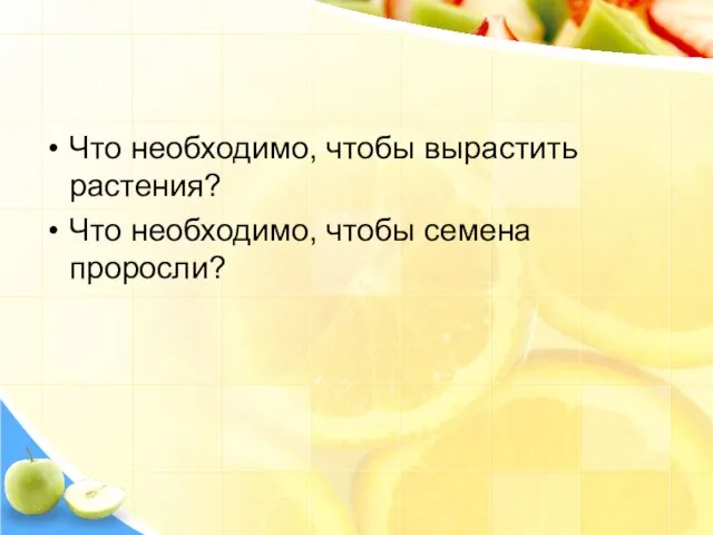 Что необходимо, чтобы вырастить растения? Что необходимо, чтобы семена проросли?