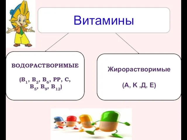 Витамины ВОДОРАСТВОРИМЫЕ (В1, В2, В6, РР, С, В5, В9, В12) Жирорастворимые (A, K ,Д, Е)