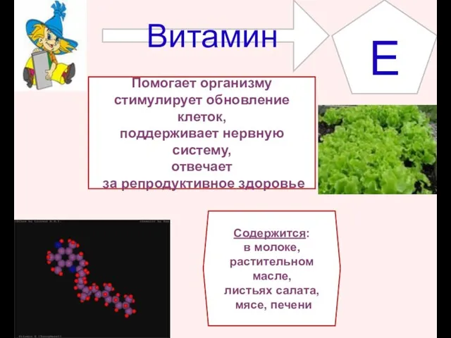 E Содержится: в молоке, растительном масле, листьях салата, мясе, печени Помогает организму