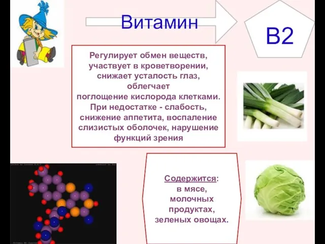 B2 Содержится: в мясе, молочных продуктах, зеленых овощах. Регулирует обмен веществ, участвует