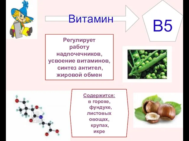 Витамин B5 Регулирует работу надпочечников, усвоение витаминов, синтез антител, жировой обмен Содержится: