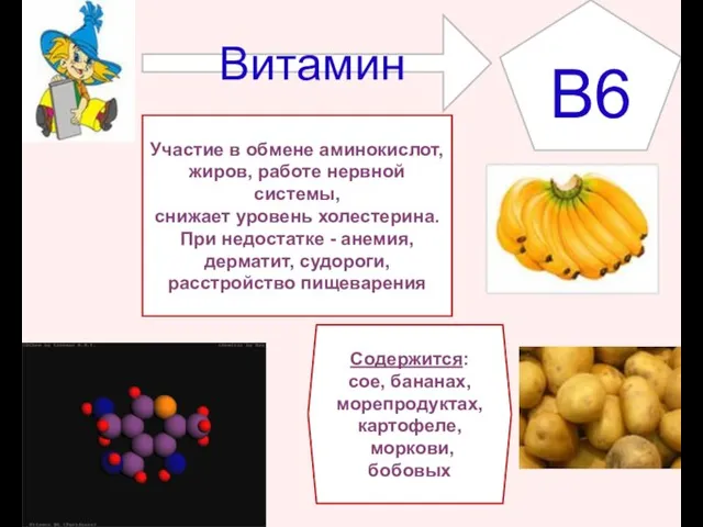 Витамин Участие в обмене аминокислот, жиров, работе нервной системы, снижает уровень холестерина.