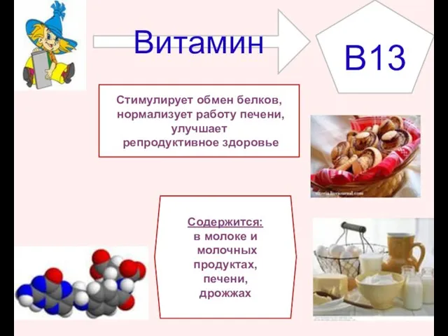 Витамин Стимулирует обмен белков, нормализует работу печени, улучшает репродуктивное здоровье B13 Содержится: