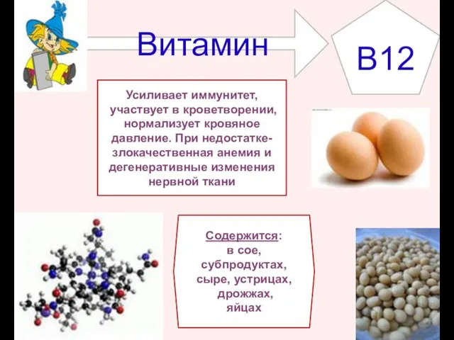 Витамин B12 Содержится: в сое, субпродуктах, сыре, устрицах, дрожжах, яйцах Усиливает иммунитет,