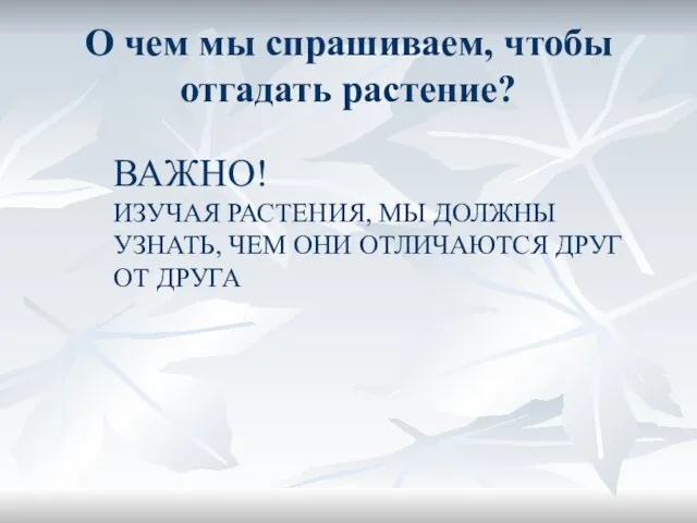 О чем мы спрашиваем, чтобы отгадать растение? ВАЖНО! ИЗУЧАЯ РАСТЕНИЯ, МЫ ДОЛЖНЫ