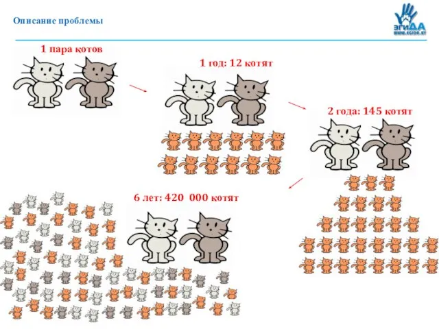 Описание проблемы 1 год: 12 котят 2 года: 145 котят 1 пара