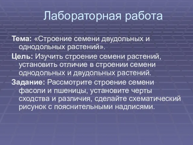 Лабораторная работа Тема: «Строение семени двудольных и однодольных растений». Цель: Изучить строение