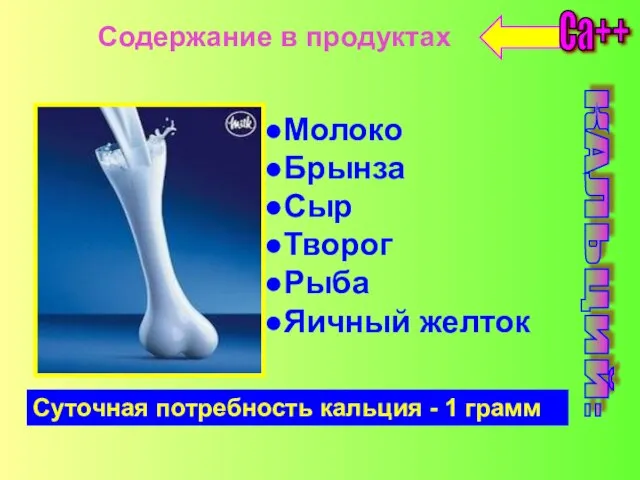 Содержание в продуктах КАЛЬЦИЙ: Ca++ Молоко Брынза Сыр Творог Рыба Яичный желток