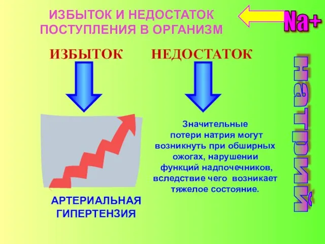 натрий Na+ ИЗБЫТОК И НЕДОСТАТОК ПОСТУПЛЕНИЯ В ОРГАНИЗМ АРТЕРИАЛЬНАЯ ГИПЕРТЕНЗИЯ ИЗБЫТОК НЕДОСТАТОК