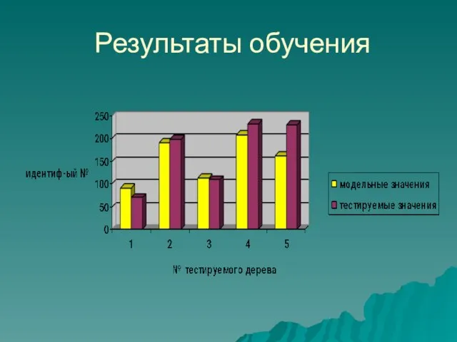 Результаты обучения