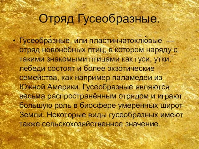 Отряд Гусеобразные. Гусеобра́зные, или пластинчатоклю́вые — отряд новонёбных птиц, в котором наряду