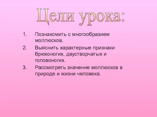 Цели урока: Познакомить с многообразием моллюсков. Выяснить характерные признаки брюхоногих, двустворчатых и